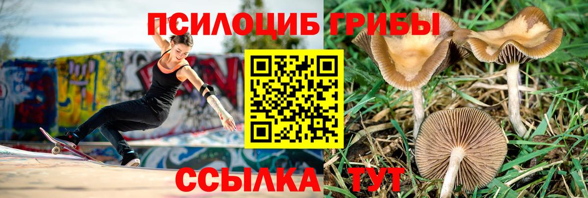 продажа наркотиков  Вход с VPN  Стрежевой  Галлюциногенные грибы мухоморы 